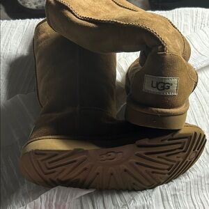 UGG Chestnut Suede Footwear